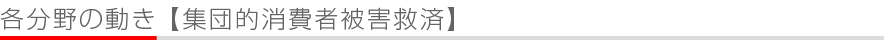 各分野の動き - 集団的消費者被害救済